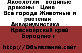 Аксолотли / водяные драконы › Цена ­ 500 - Все города Животные и растения » Аквариумистика   . Красноярский край,Бородино г.